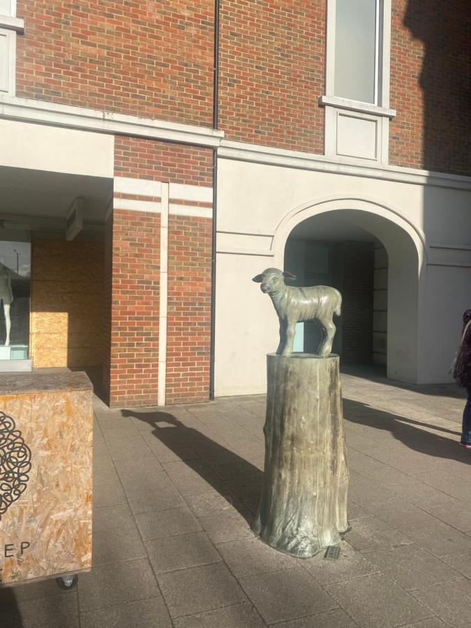 The Most Central Apartment In Canterbury Stunning Interiors, Fully Equipped, City Views And Free Wifi! Exterior foto